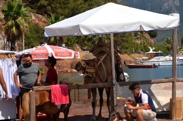 Kızkumu Plajı turist akınına uğradı