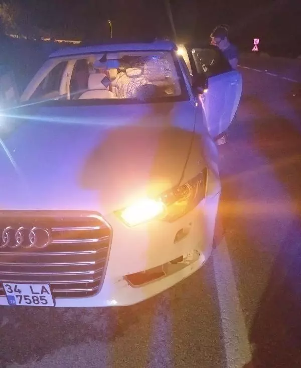 Koyunlarını yolun karşısına geçirirken, araç çarpmasıyla öldü