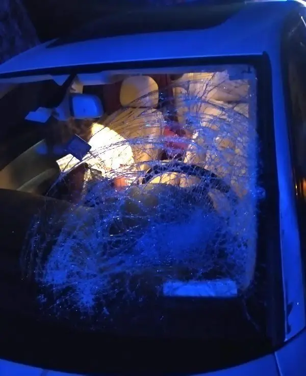 Koyunlarını yolun karşısına geçirirken, araç çarpmasıyla öldü