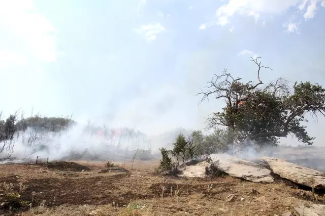 Son Dakika | Kula'da ot yangını korkuttu