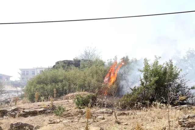 Son Dakika | Kula'da ot yangını korkuttu