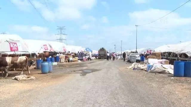 Kurban pazarlarındaki hareketlilik devam ediyor Kurban pazarlarındaki hareketlilik devam ediyor
