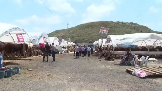Kurban pazarlarındaki hareketlilik devam ediyor