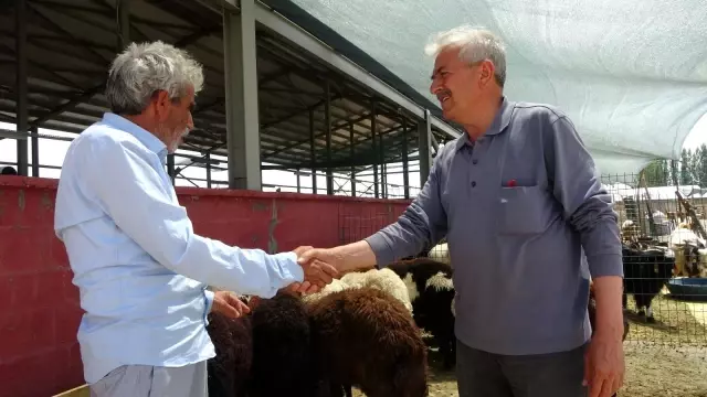 Kurbanlar için 'kol koparan' pazarlıklar Kurbanlar için 'kol koparan' pazarlıklar
