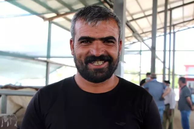 Kurbanlar için 'kol koparan' pazarlıklar