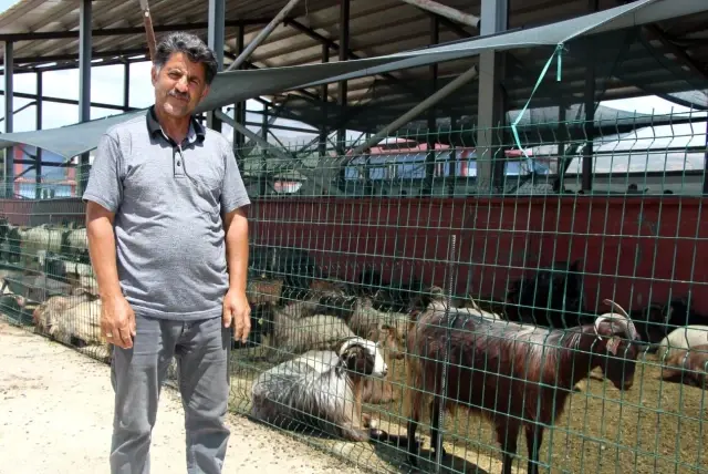 Kurbanlar için 'kol koparan' pazarlıklar