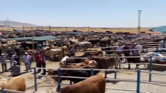 Kurbanlık satışlarının iyi olması besicileri sevindiriyor