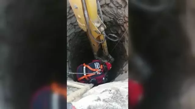 Kuyuya düşen inek itfaiye ekiplerince kurtarıldı