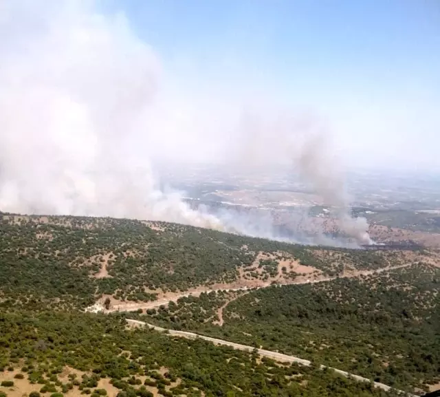 Manisa'da makilik alanda yangın