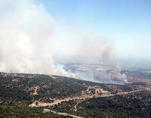 Son dakika... Manisa'da makilik yangını (1) Son dakika... Manisa'da makilik yangını (1)