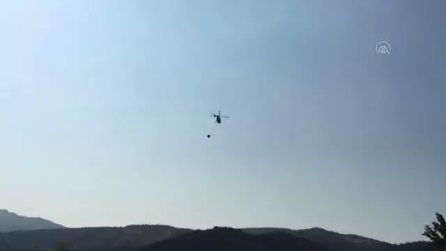 Orman yangını kontrol altına alındı