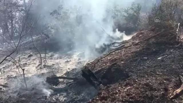 Orman yangını kontrol altına alındı