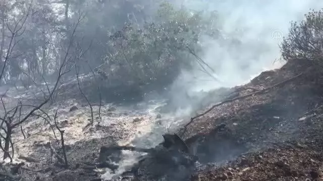 Orman yangını kontrol altına alındı