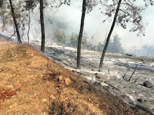 Orman yangını kontrol altına alındı
