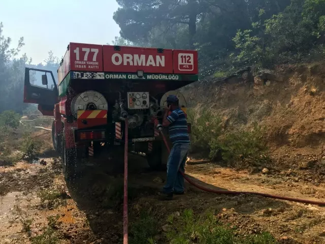Orman yangını kontrol altına alındı