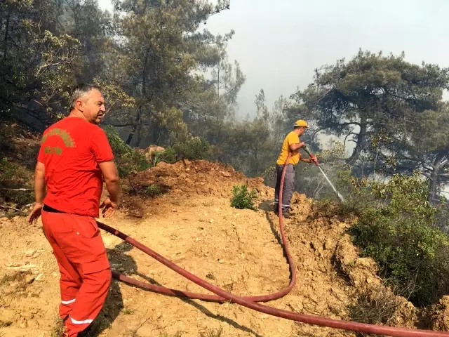 Orman yangını kontrol altına alındı