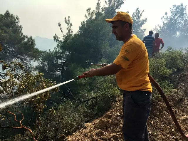 Orman yangını kontrol altına alındı