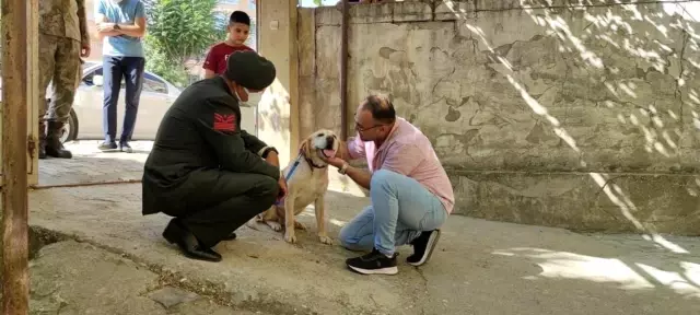 Son dakika haberi! KAHRAMANMARAŞ - Oğullarını şehit verdikleri saldırıda gazi olan görev köpeği Atmaca'yı sahiplendiler