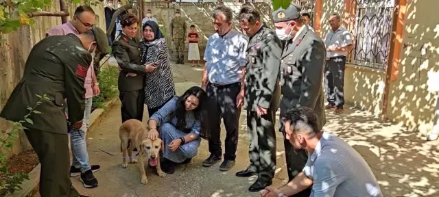 Son dakika haberi! KAHRAMANMARAŞ - Oğullarını şehit verdikleri saldırıda gazi olan görev köpeği Atmaca'yı sahiplendiler