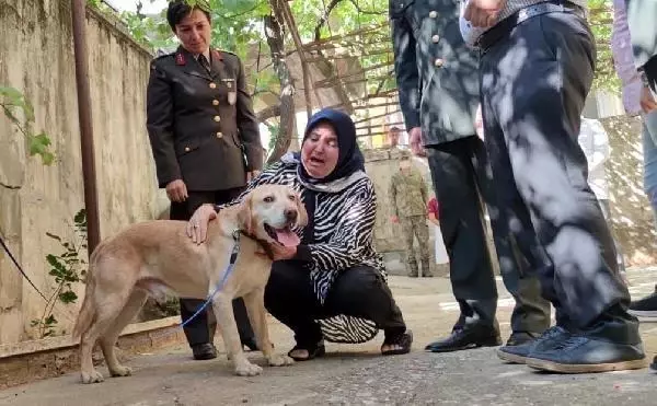 Son dakika haberi! KAHRAMANMARAŞ - Oğullarını şehit verdikleri saldırıda gazi olan görev köpeği Atmaca'yı sahiplendiler