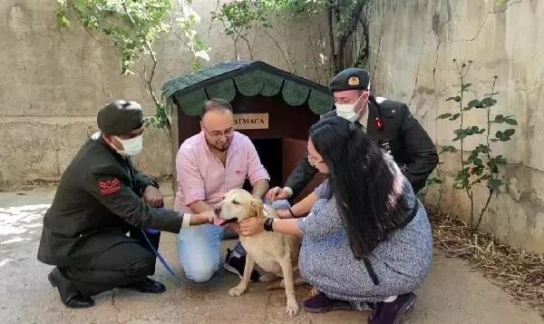 Son dakika haberi! KAHRAMANMARAŞ - Oğullarını şehit verdikleri saldırıda gazi olan görev köpeği Atmaca'yı sahiplendiler