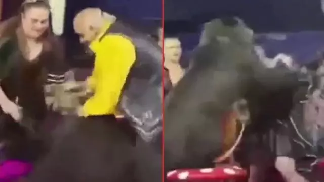 Sirk gösterisinde tansiyon bir anda yükseldi! Sinirlenen ayı, defalarca terbiyecisine saldırdı Sirk gösterisinde tansiyon bir anda yükseldi! Sinirlenen ayı, defalarca terbiyecisine saldırdı