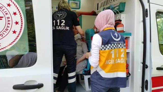 TEM'de kontrolden çıkan otomobil ağaçlık alana uçtu: 3 yaralı