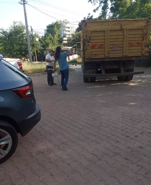 Yasadışı yollardan ele geçirdikleri flamingoların kanatlarını kesmişler