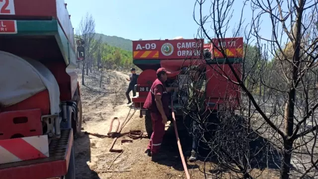 Denizli'de orman yangını: 15 dekar orman küle döndü
