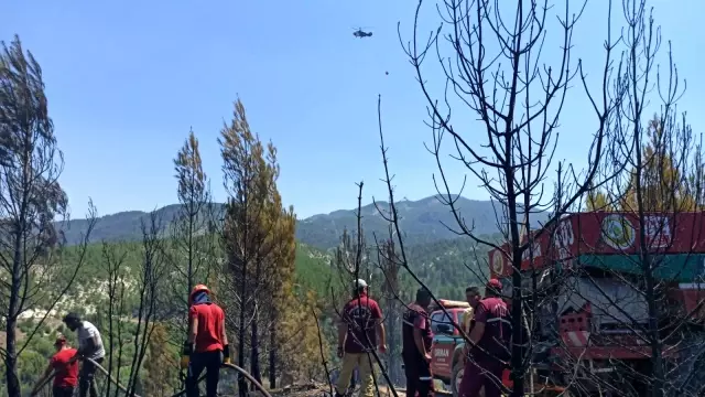 Denizli'de orman yangını: 15 dekar orman küle döndü