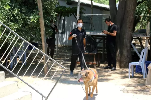 2 yaşındaki kayıp Ecrin'in annesinden yürek dağlayan feryat