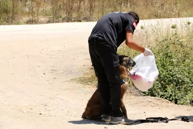 2 yaşındaki kayıp Ecrin'in annesinden yürek dağlayan feryat