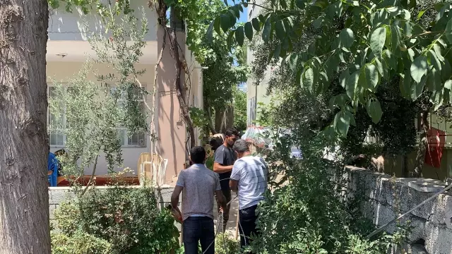 Kaçan kurbanlık boğa zor anlar yaşattı