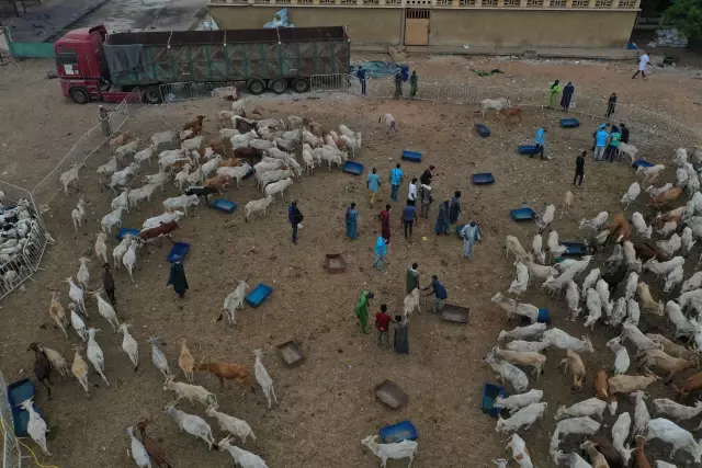 Afrika'nın mazlum coğrafyası TDV ile bayram edecek Afrika'nın mazlum coğrafyası TDV ile bayram edecek