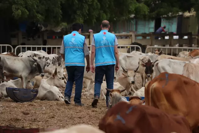 Afrika'nın mazlum coğrafyası TDV ile bayram edecek