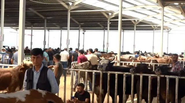 Aksaray'da hayvan pazarında denetim
