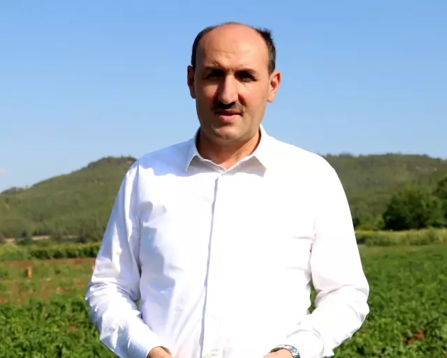 Almanya ve Rusya'nın karpuzu Adana'dan