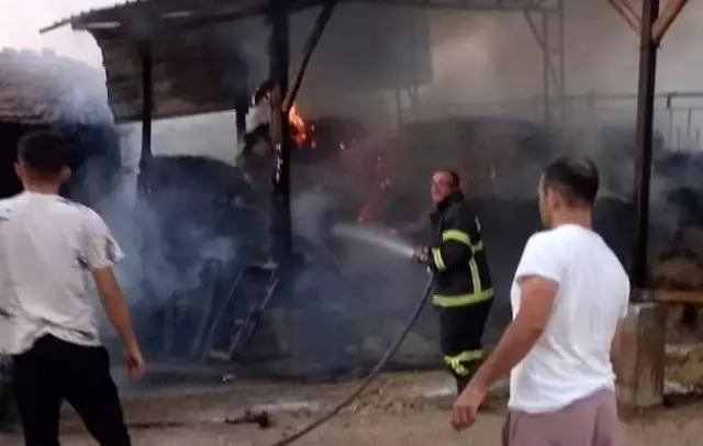 Altıntaş'ta yangın