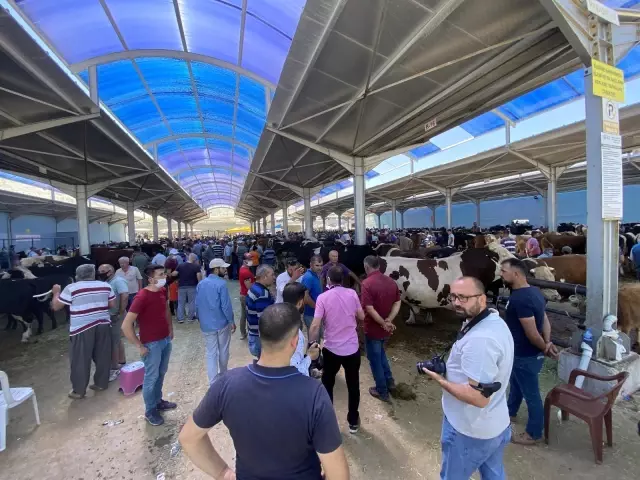 Arefe günü Kurban Pazarları hareketlendi Arefe günü Kurban Pazarları hareketlendi