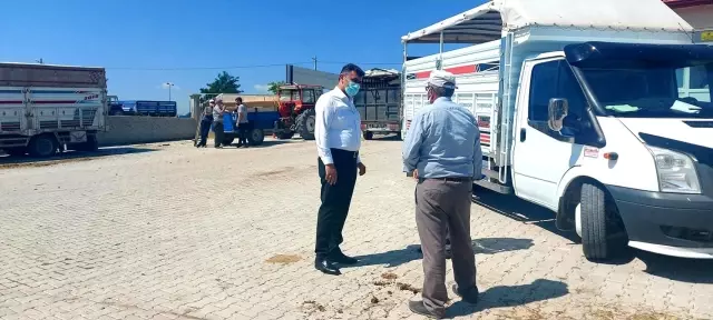 Aslanapa Canlı Hayvan Pazarı ve Borsası ekonomiye katkı sağlıyor
