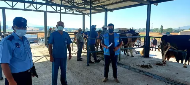 Aslanapa Canlı Hayvan Pazarı ve Borsası ekonomiye katkı sağlıyor