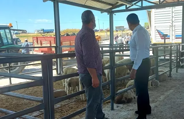 Aslanapa Canlı Hayvan Pazarı ve Borsası ekonomiye katkı sağlıyor