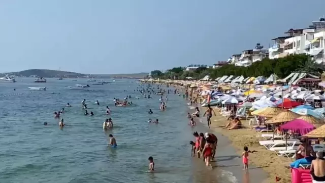 Avşa Adası'nda yoğunluk