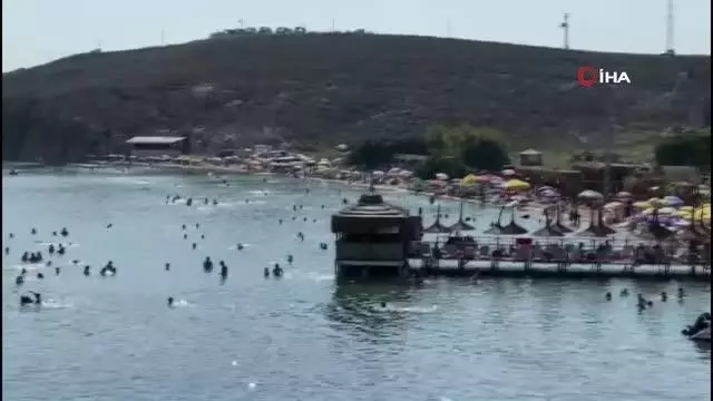 Avşa Adası'nda yoğunluk Avşa Adası'nda yoğunluk