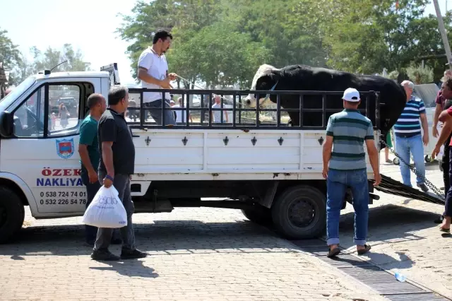 Aydın'daki kurban pazarı eski günleri arattı