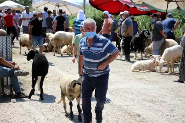 Aydın'daki kurban pazarı eski günleri arattı