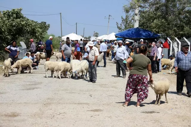 Aydın'daki kurban pazarı eski günleri arattı