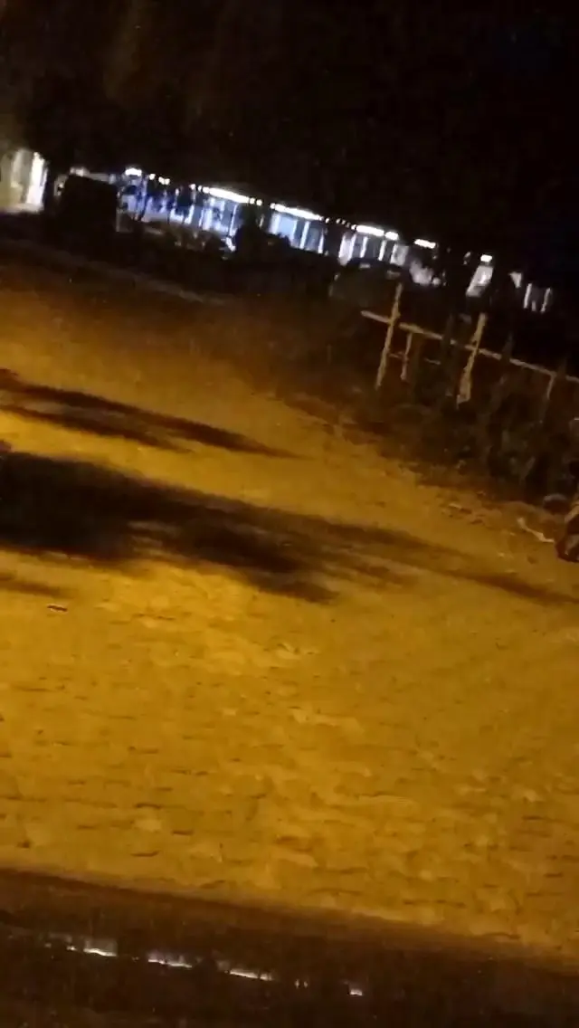 Uludağ'da turistin korku dolu anları! Kendisine saldıran ayının yüzüne ışık tutarak kaçtı