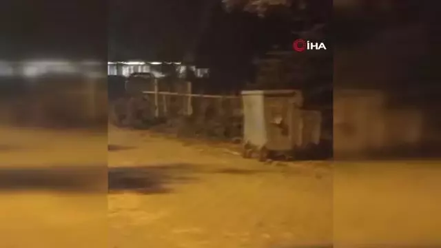 Ayının saldırısına uğradı, yüzüne ışık tuttu... Uludağ'da turistin korku dolu anları