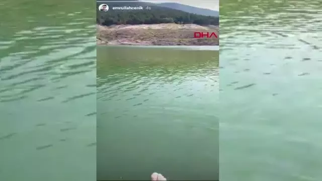 Son dakika haber... AYNI AİLEDEN 5 KİŞİNİN BOĞULDUĞU BARAJ GÖLÜNE İNEN YOL KAPATILDI 2 Son dakika haber... AYNI AİLEDEN 5 KİŞİNİN BOĞULDUĞU BARAJ GÖLÜNE İNEN YOL KAPATILDI